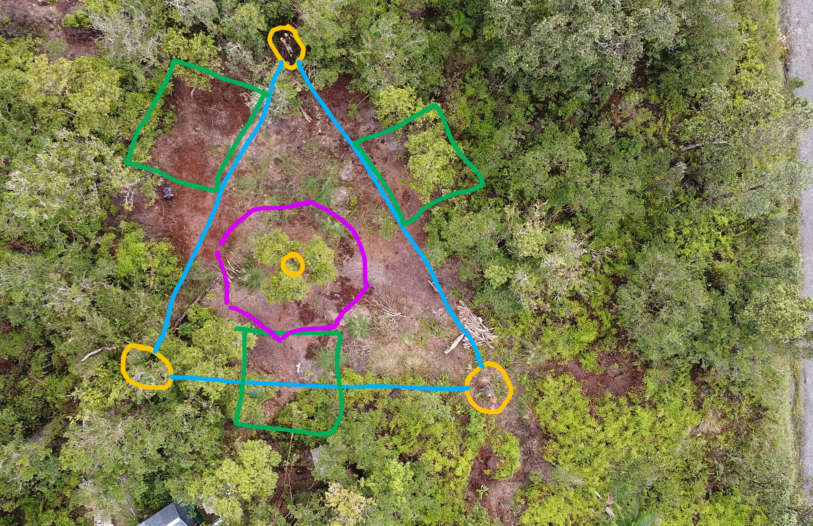Aerial of Area 1: green pads, yellow trees, blue tarp triangle, purple octagon around the center tree