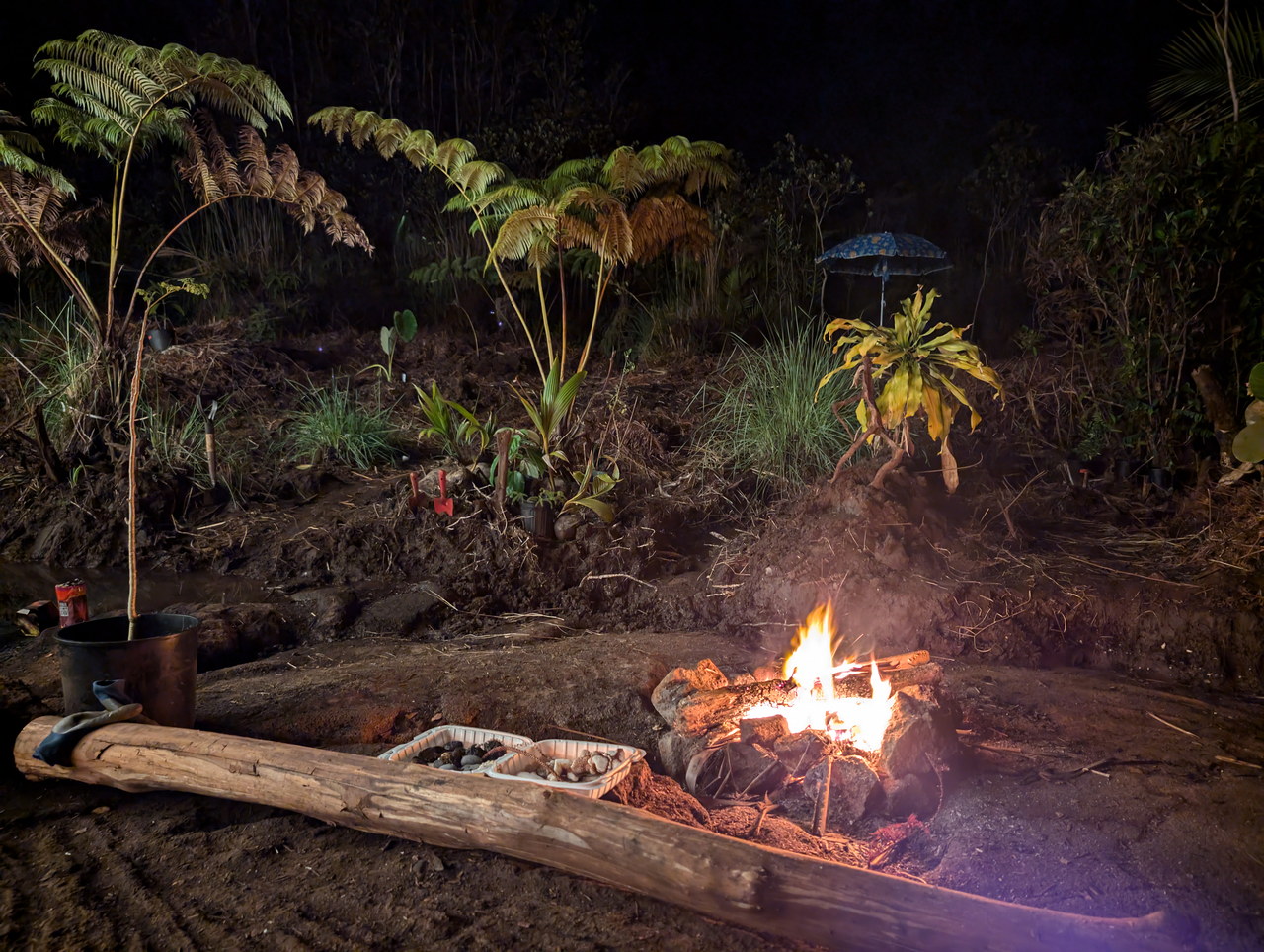 Placeholder — fire circle at dusk